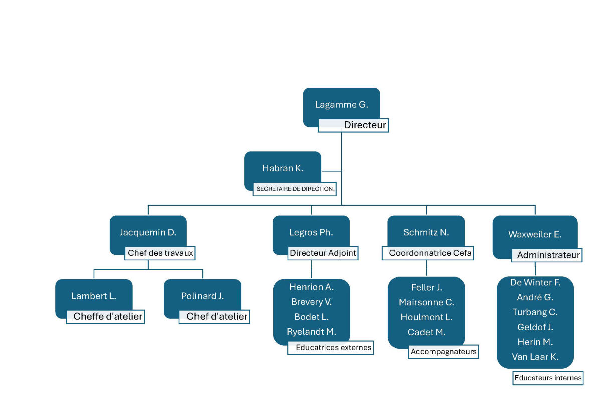 Organigramme
